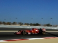 alonso1