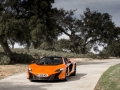 McLaren 650S Launch 2014 Ascari