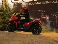 quadro-eicma-2014 (31)