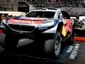 peugeot DKR