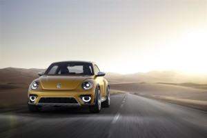 media-Beetle Dune_DRV_02-4