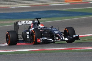 Adrian Sutil (D), Sauber F1 Team.  Bahrain International Circuit.