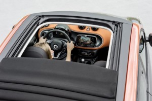 world_premiere_smart_fortwo_and_forfour_(16)