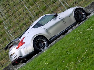 Nissan_decorata ester