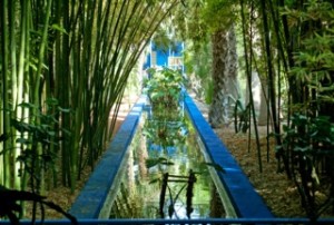 Marrakech les Jardin Majorelle 700