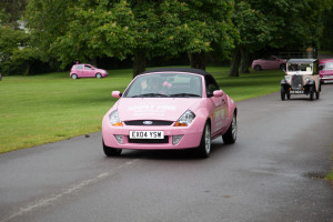 2015 Simply Pink Cavalcade Ford Streetka