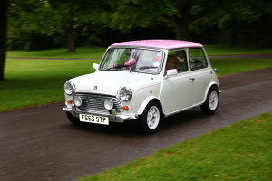 2015 Simply Pink Cavalcade - Mini Rose Cooper