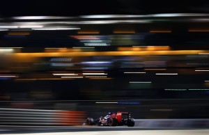 toro rosso abu