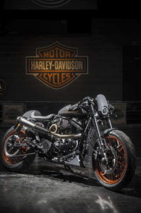 Harley Davidson Accessori Moto - Shop Harley-Davidson Perugia