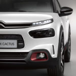 C4 Cactus