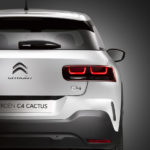 C4 Cactus