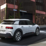 C4 Cactus