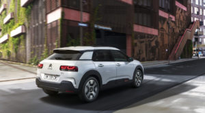 C4 Cactus