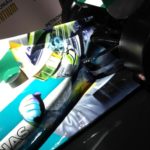 hamilton viviane senna