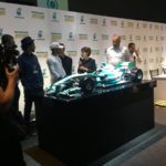 hamilton viviane senna