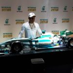 hamilton viviane senna