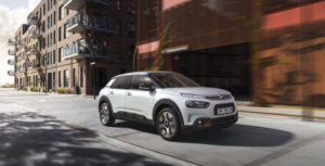 C4 Cactus