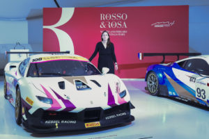 Mostra Il Rosso e il Rosa presso il MEF di Modena