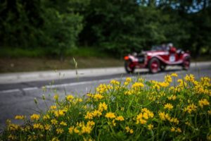 180518_Alfa_Romeo_Mille_Miglia_2018_19