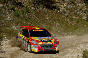 Paolo Andreucci, Rudy Briani (Peugeot 208 T16 R5 #8, Maranello Corse)